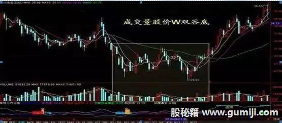 爱奇艺视频for mac版