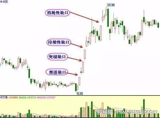 贵州药材APP