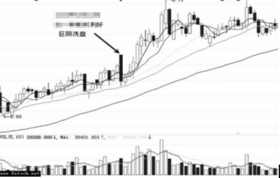 星辉娱乐appV3.9专业版