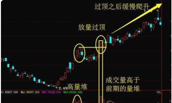 Tg淘金网appV7.9专业版