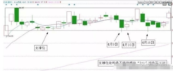 朵拉生活