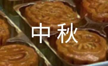 开云app官方版入口V5.1专业版