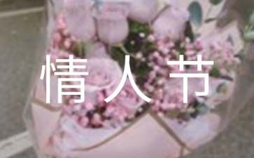 bagepaappV9.3专业版