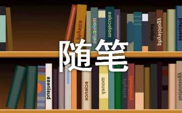 速达浏览器