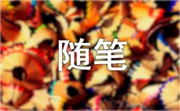 eman安卓版