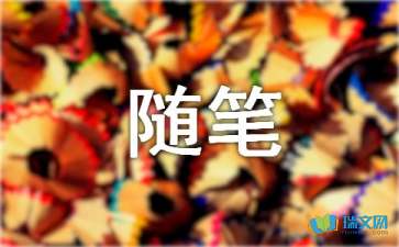 满堂彩V1.3专业版
