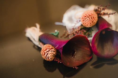 开云app官方官网入口V3.7专业版