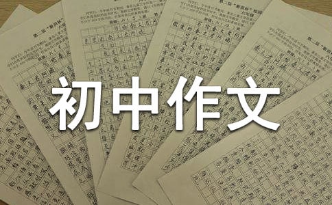 连环夺宝app2025版多人团队副本场景