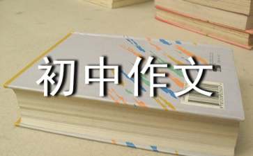 2028体育app安卓版二维码