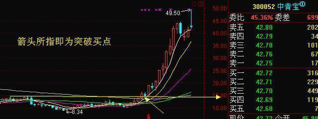 91算命软件修改版