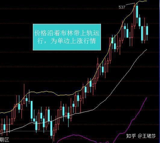 冠竞体育APP下载V3.9专业版