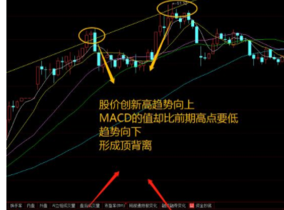 太阳网集团appV9.8专业版