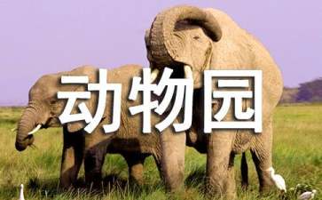 万博官方入口V5.1专业版