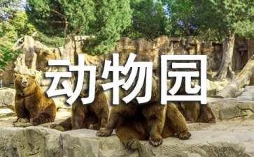 芭乐网页版V3.8专业版