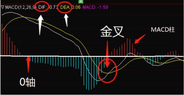 开云app官方在线登陆V4.4专业版