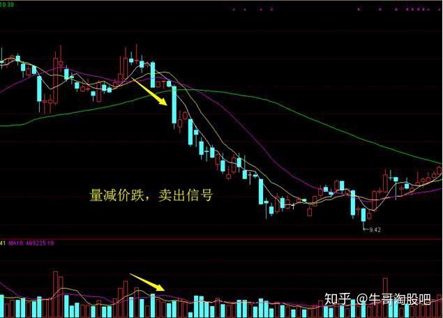 斗鱼app2025版多人竞技对战场景