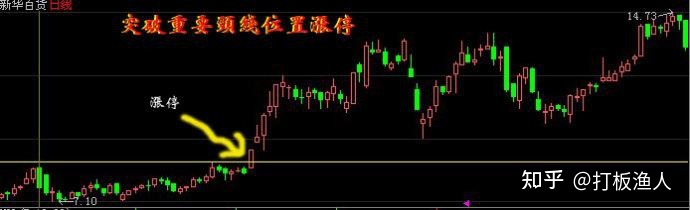 开云app在线入口V4.9专业版