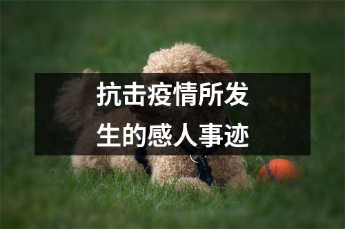 迷你简综艺正版