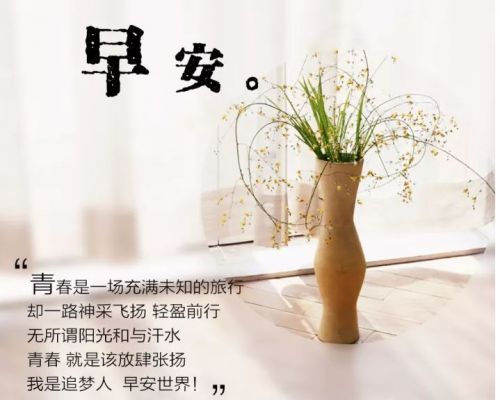 eman安卓版