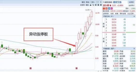 开云官方网页版登录2025版夜间赛道竞速场景