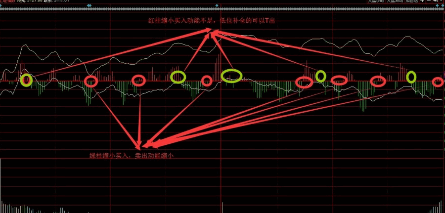 灵魂筹码河女濡亡之花套装2025版游戏场景截图