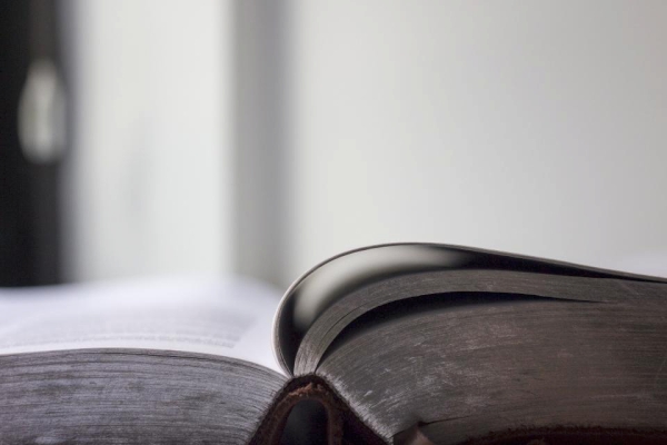 天天购彩appV4.3专业版