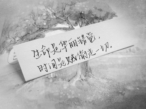 焚神葬魔域1.09正式版