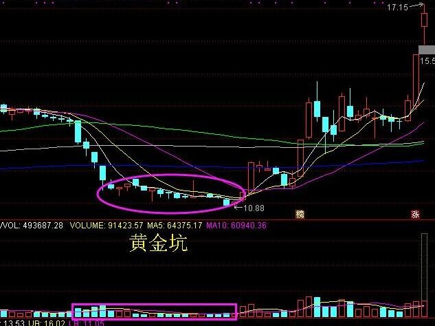 太阳网集团app