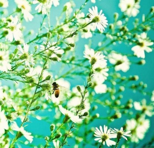 河南汽车维修平台APP