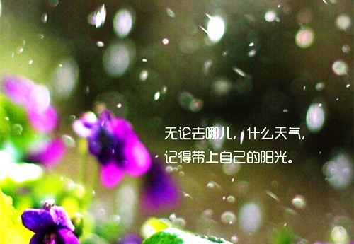 ky体育app官网登录V7.6专业版