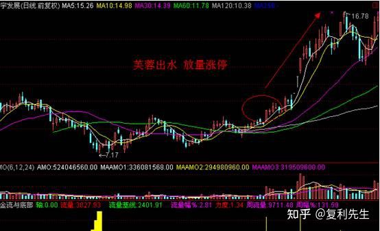 贵州药材APP