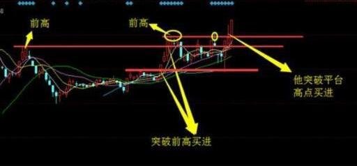 贵州药材APP