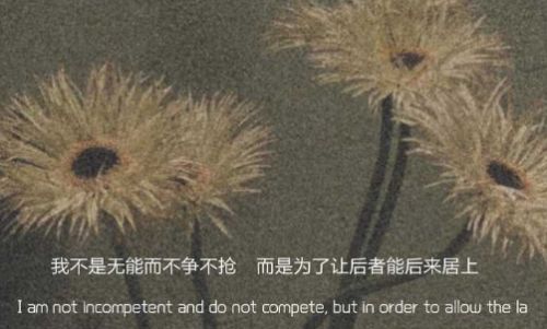 贵州药材APP