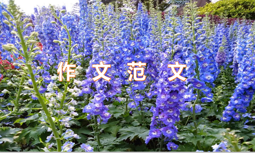 优博家appV5.4专业版