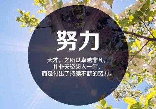 kaiyun.app应用下载V8.8专业版