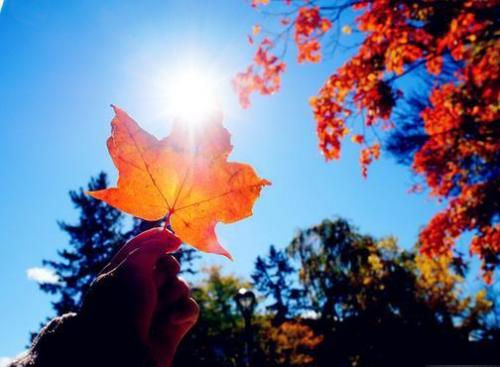 河南汽车维修平台APP