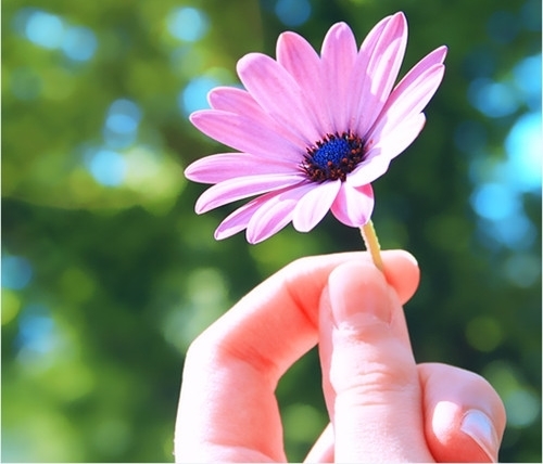 花生视频编辑软件