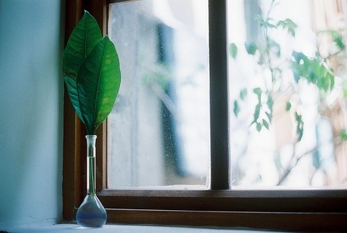 悟空综合体育官网入口V1.8专业版