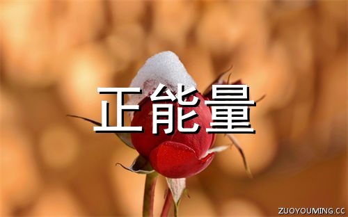 美高美集团appV6.9专业版