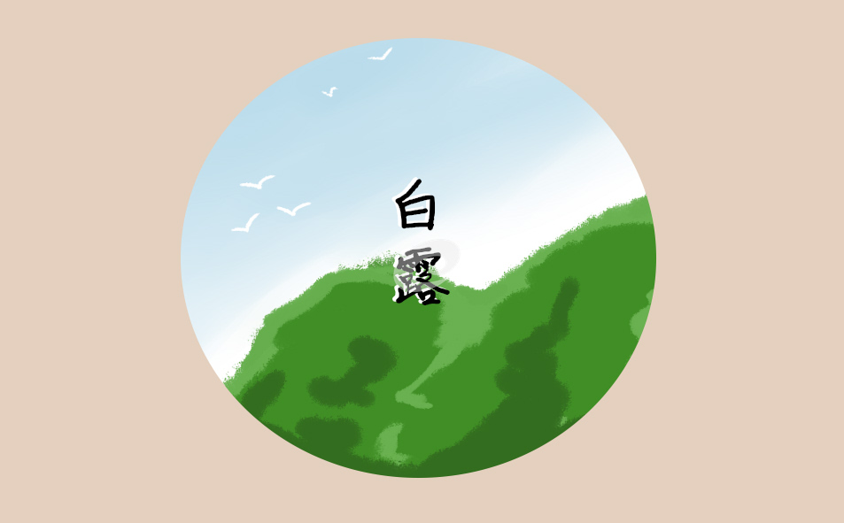 巅峰国际app