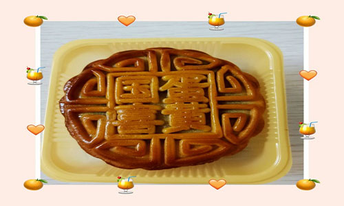 贵州药材APP