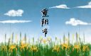 小熊洗车APP