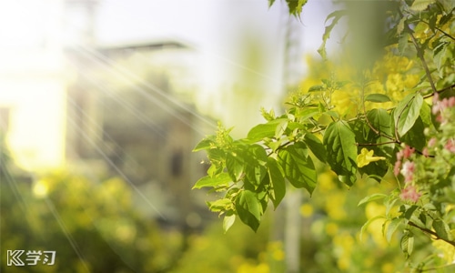 lsass.exe与smss.exe病毒专杀工具