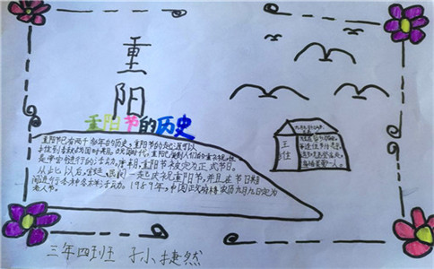 皇冠体育appV7.9专业版