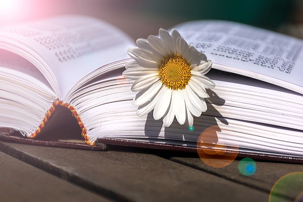 kaiyun体育官网下载安装2025最新版街头球场场景