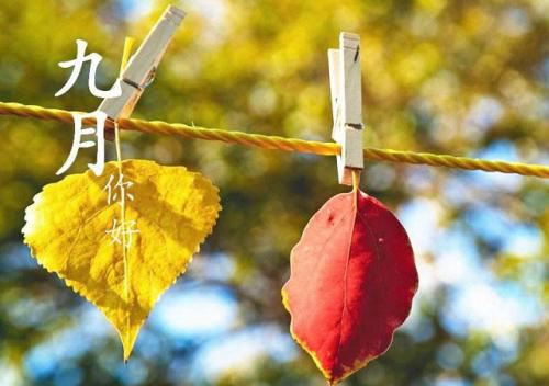 yibobetappV5.6专业版