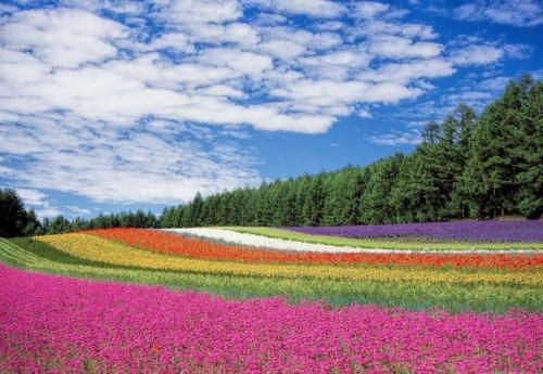 泛亚电竞2025V8.2专业版