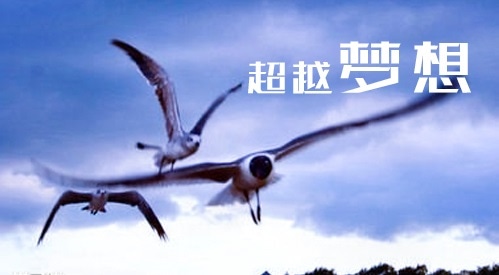 华康漆隶体繁w5