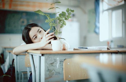 百度视频播放器安卓版(百搜视频)