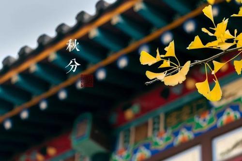 中国九游会V3.2专业版